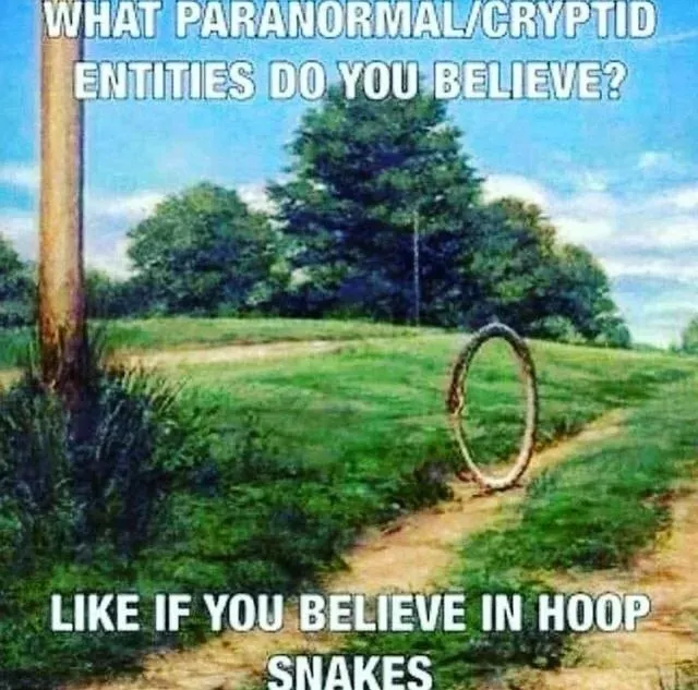 Untitled meme