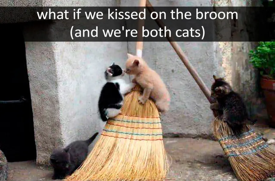 Untitled meme