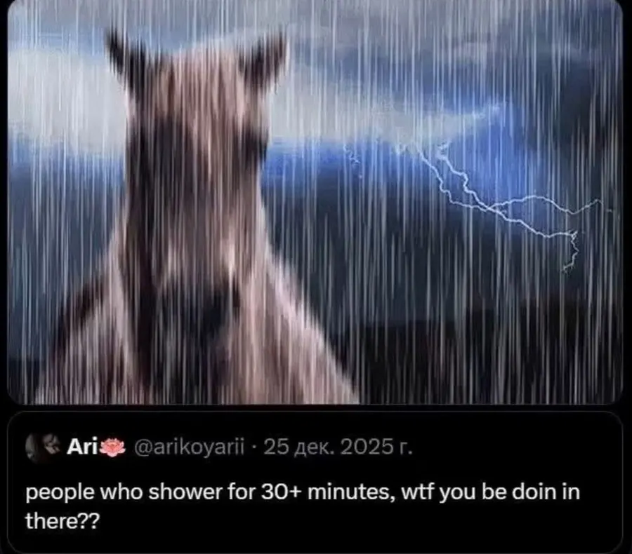 Untitled meme