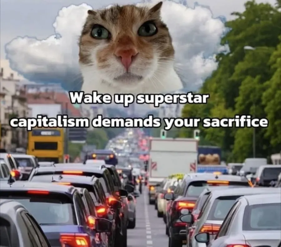 Untitled meme