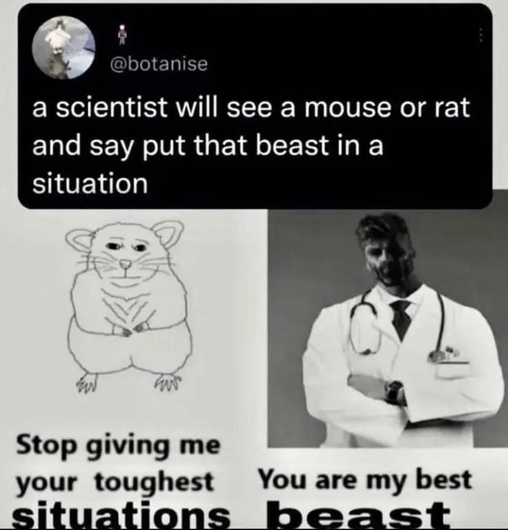 Untitled meme