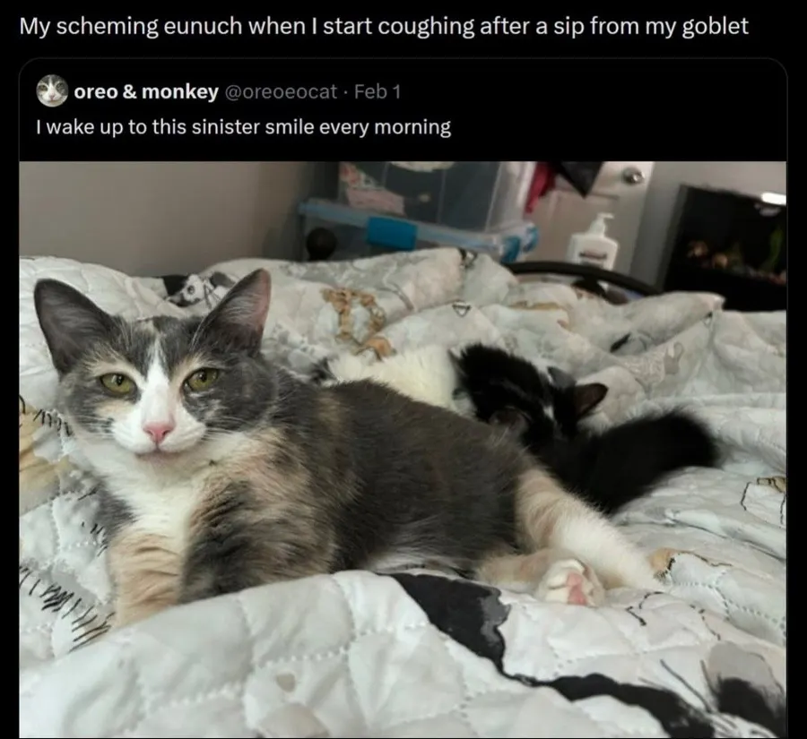 Untitled meme