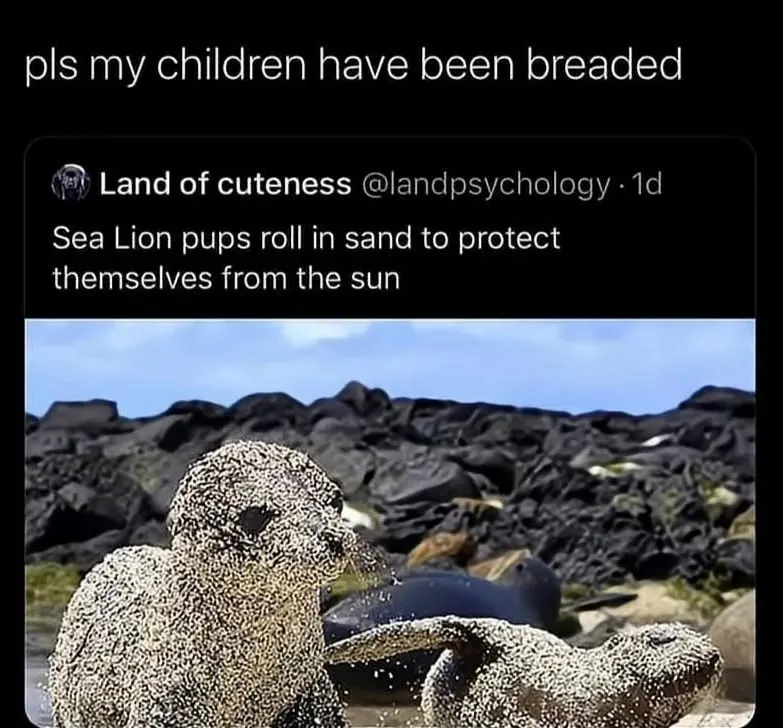 Untitled meme