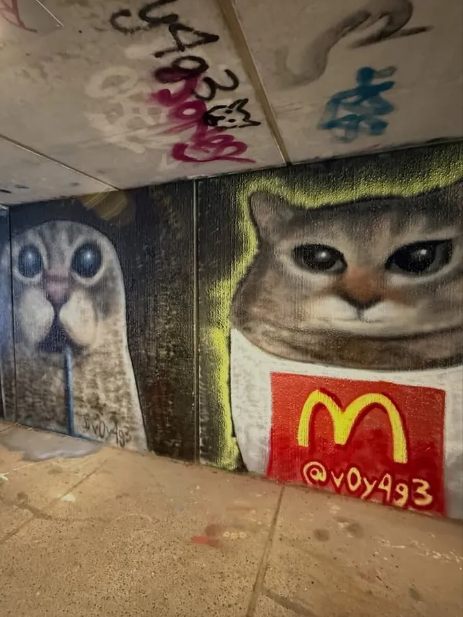 Untitled meme