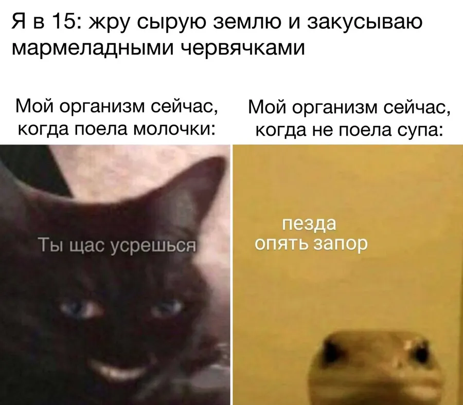 Untitled meme
