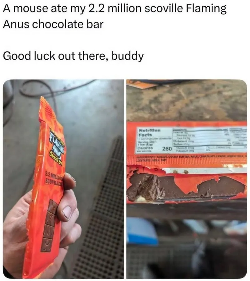 Untitled meme