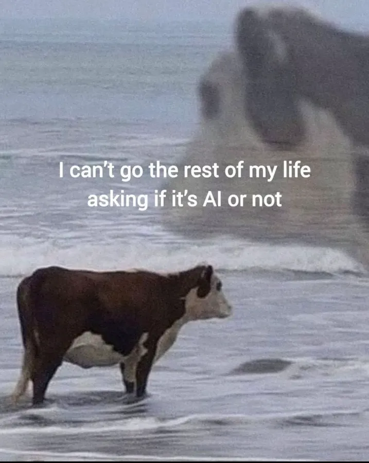 Untitled meme