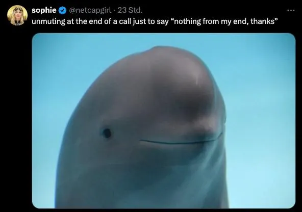 Untitled meme