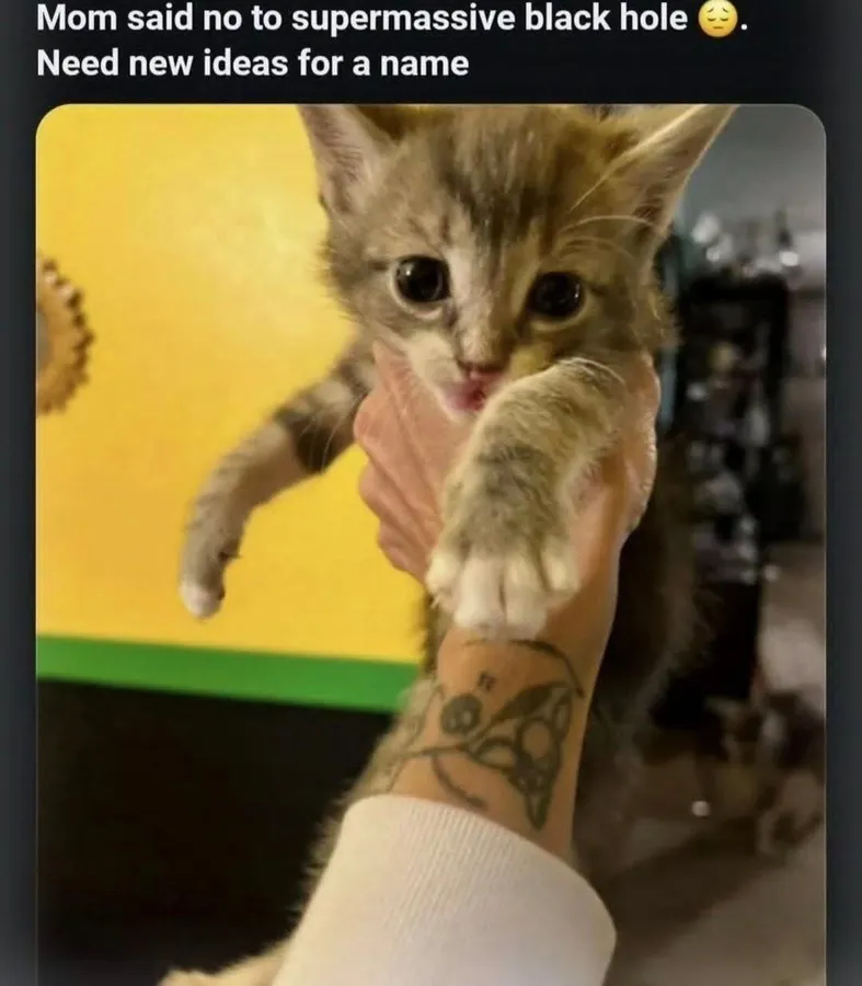 Untitled meme