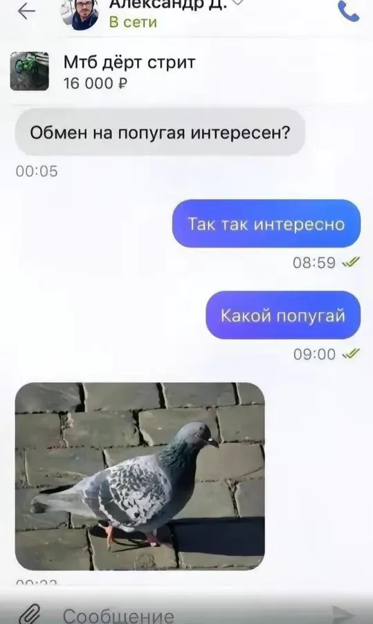 Untitled meme
