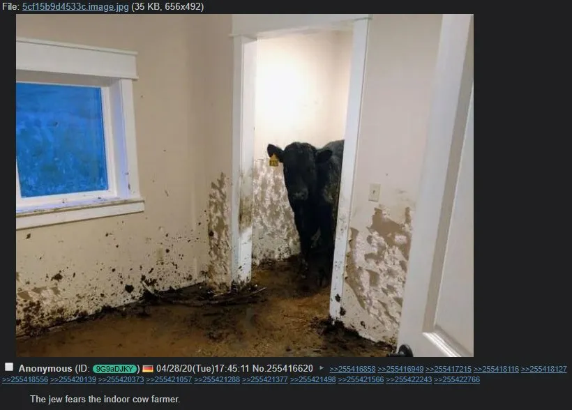 Untitled meme