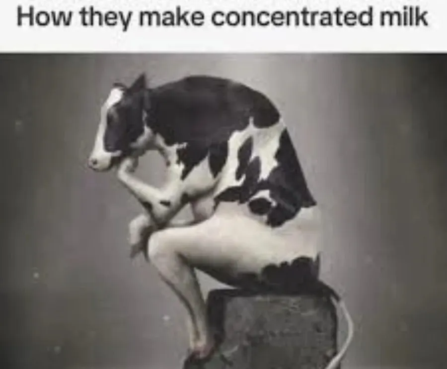 Untitled meme