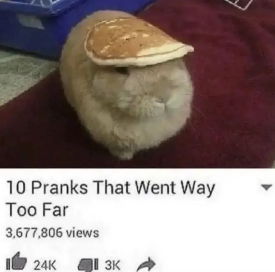 Untitled meme