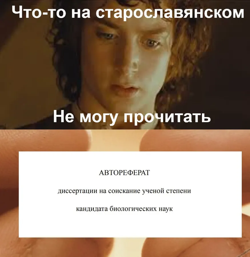 Untitled meme
