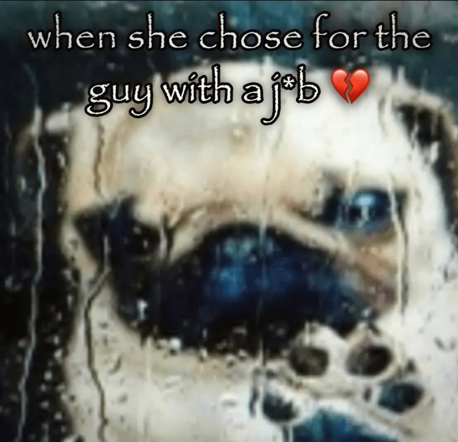 Untitled meme