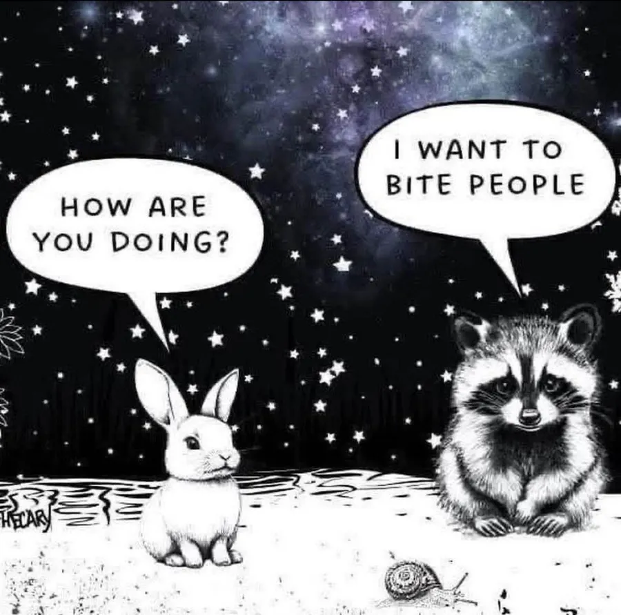 Untitled meme