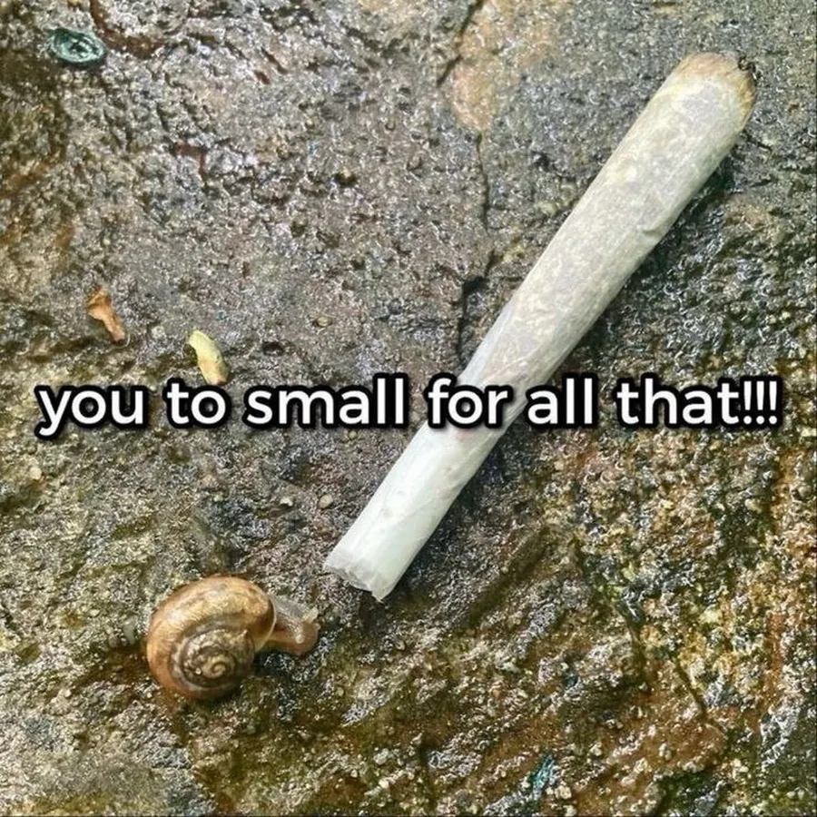 Untitled meme