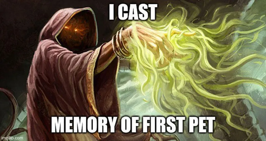 Untitled meme