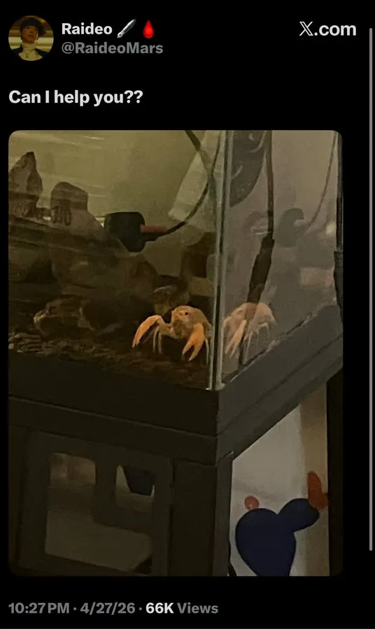 Untitled meme