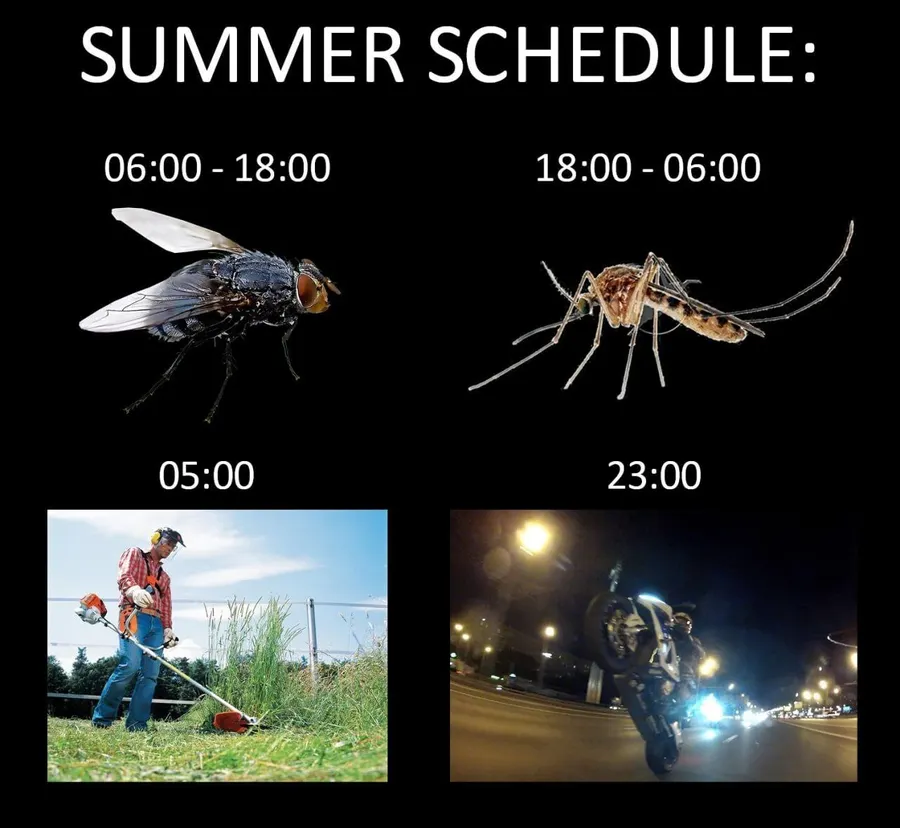 Untitled meme