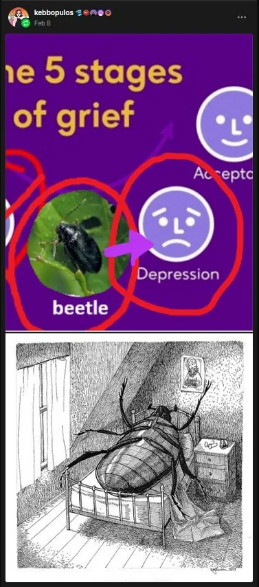 Untitled meme