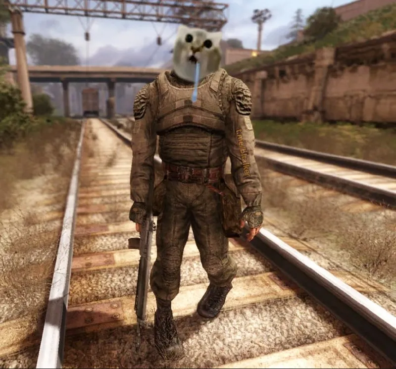 Untitled meme