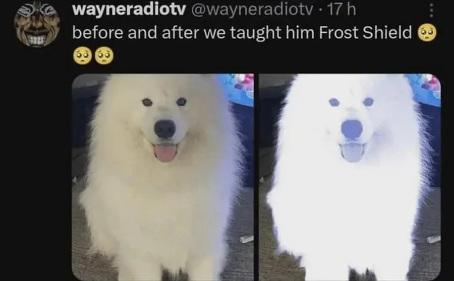 Untitled meme