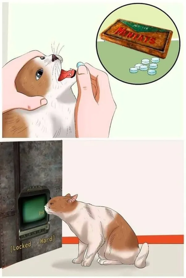 Untitled meme