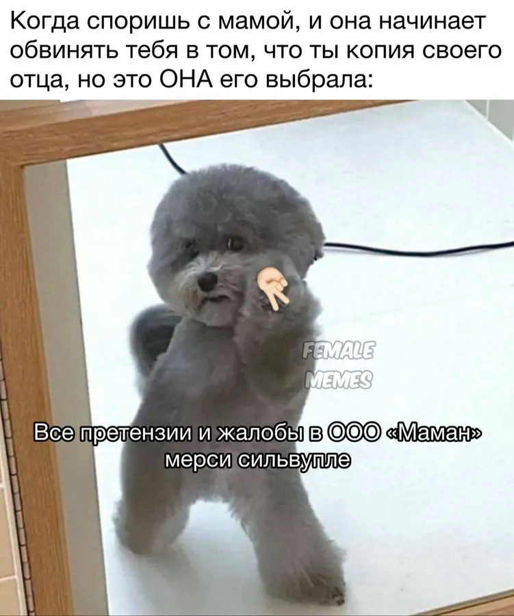Untitled meme