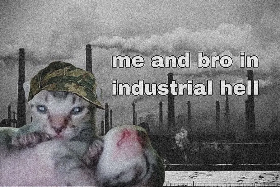 Untitled meme