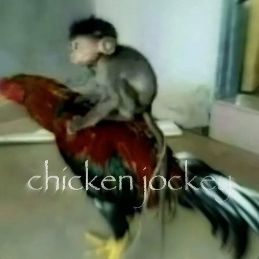 Untitled meme