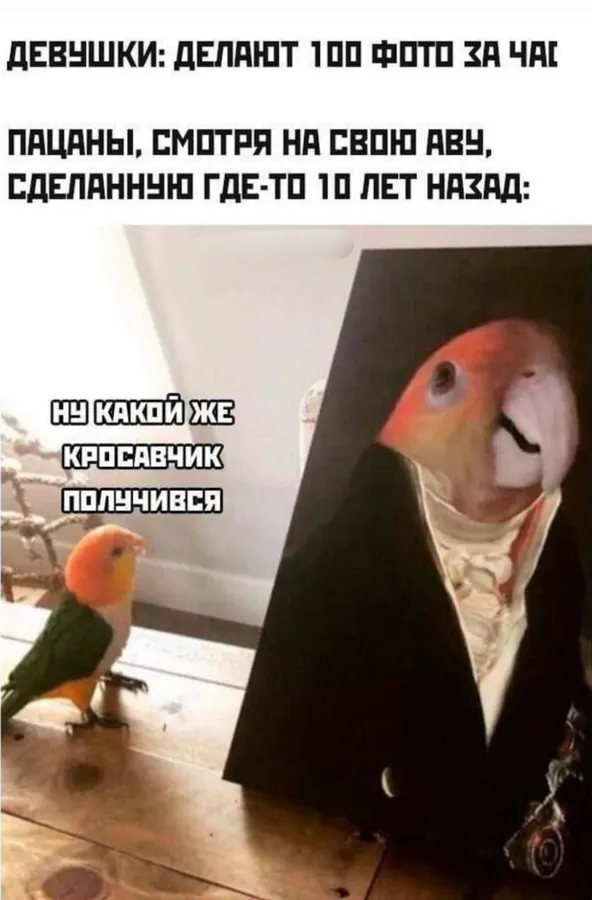 Untitled meme