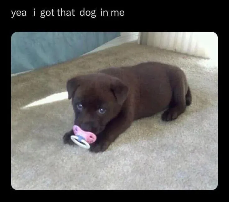 Untitled meme
