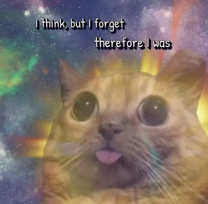 Untitled meme