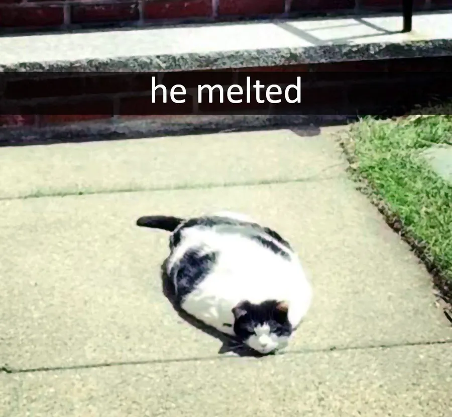 Untitled meme