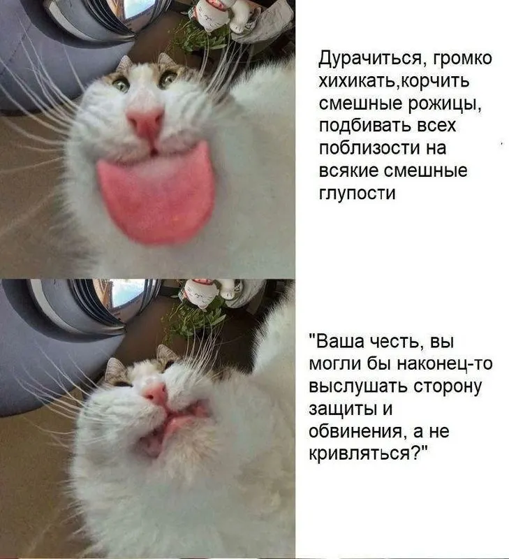 Untitled meme