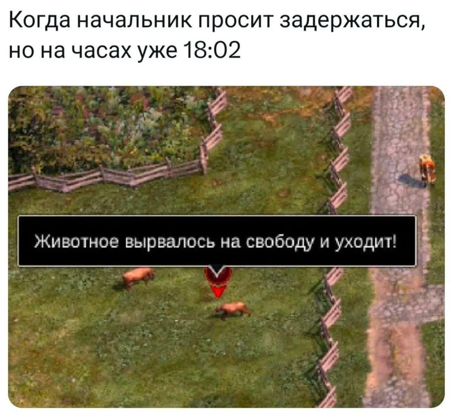 Untitled meme