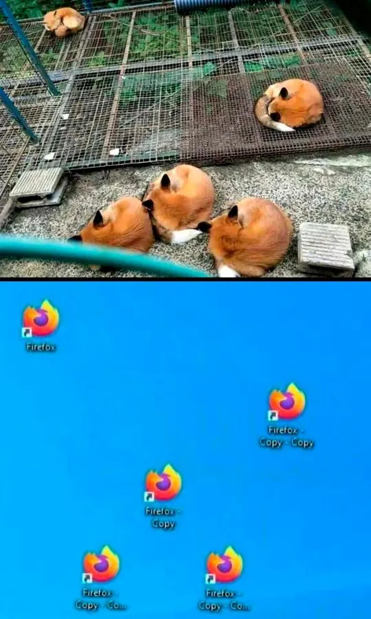 Untitled meme