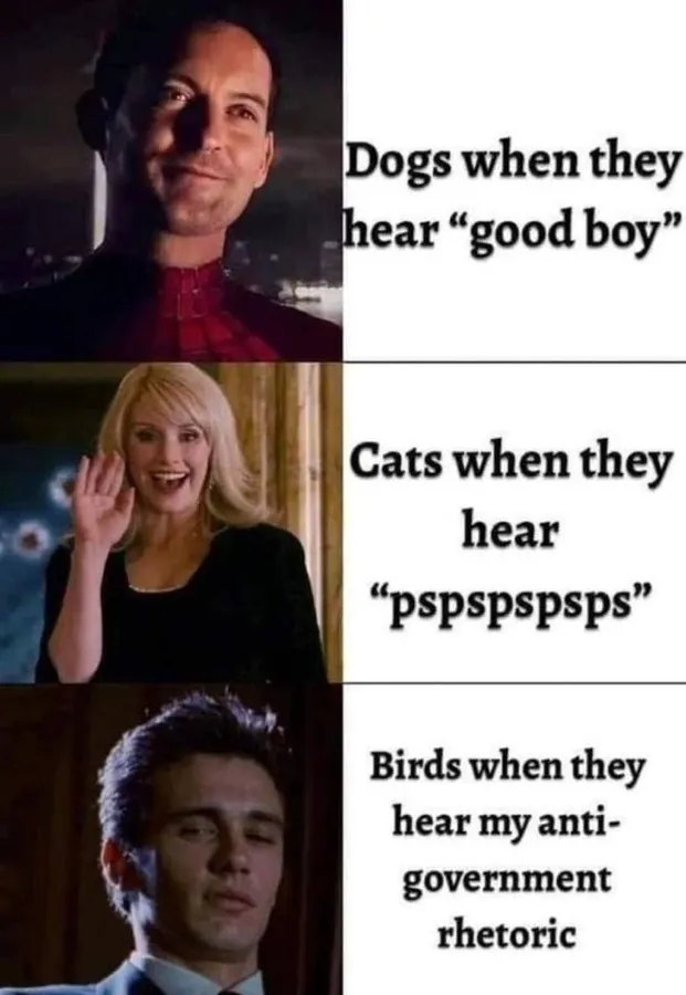 Untitled meme