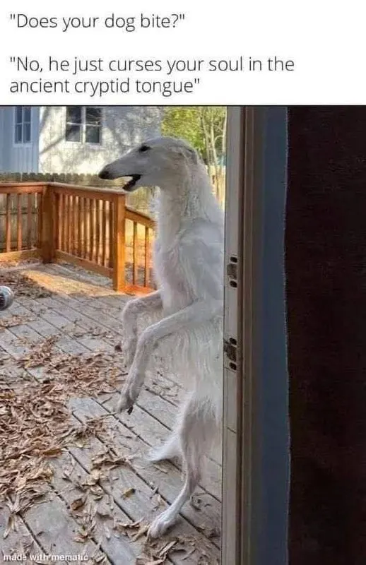 Untitled meme