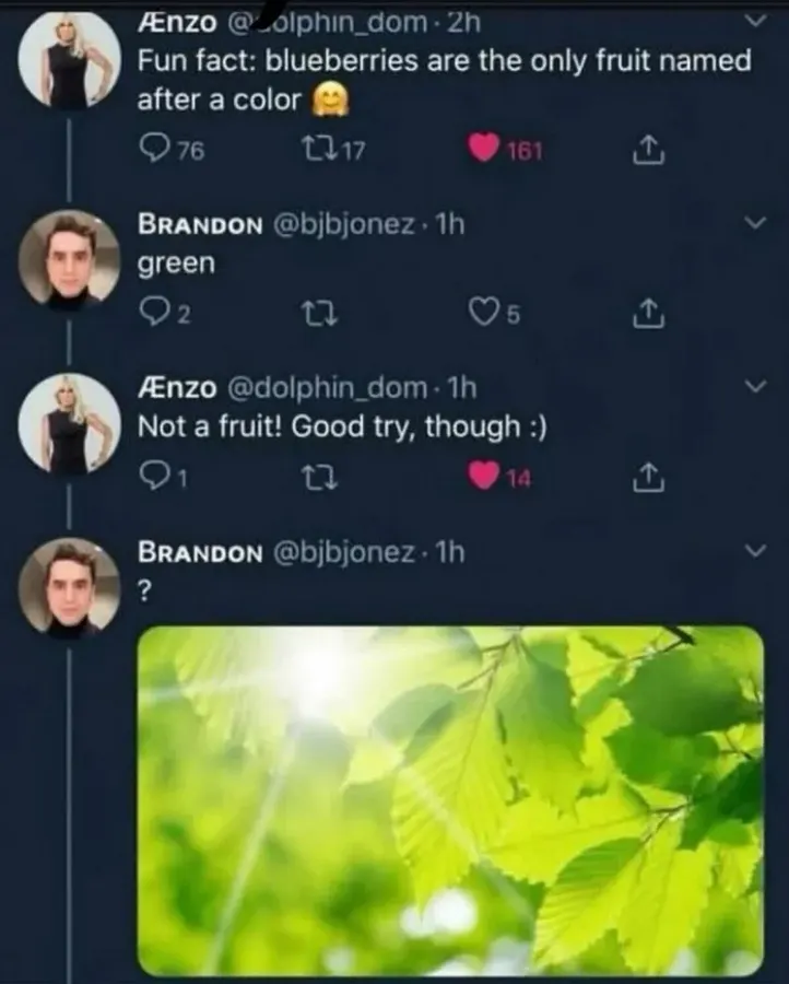 Untitled meme