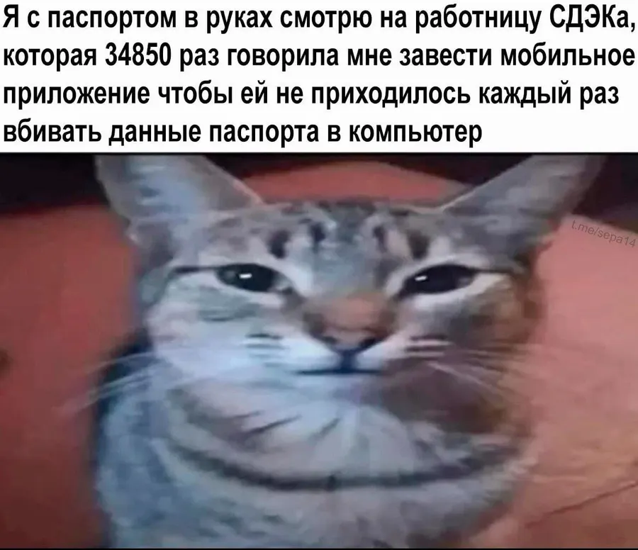 Untitled meme