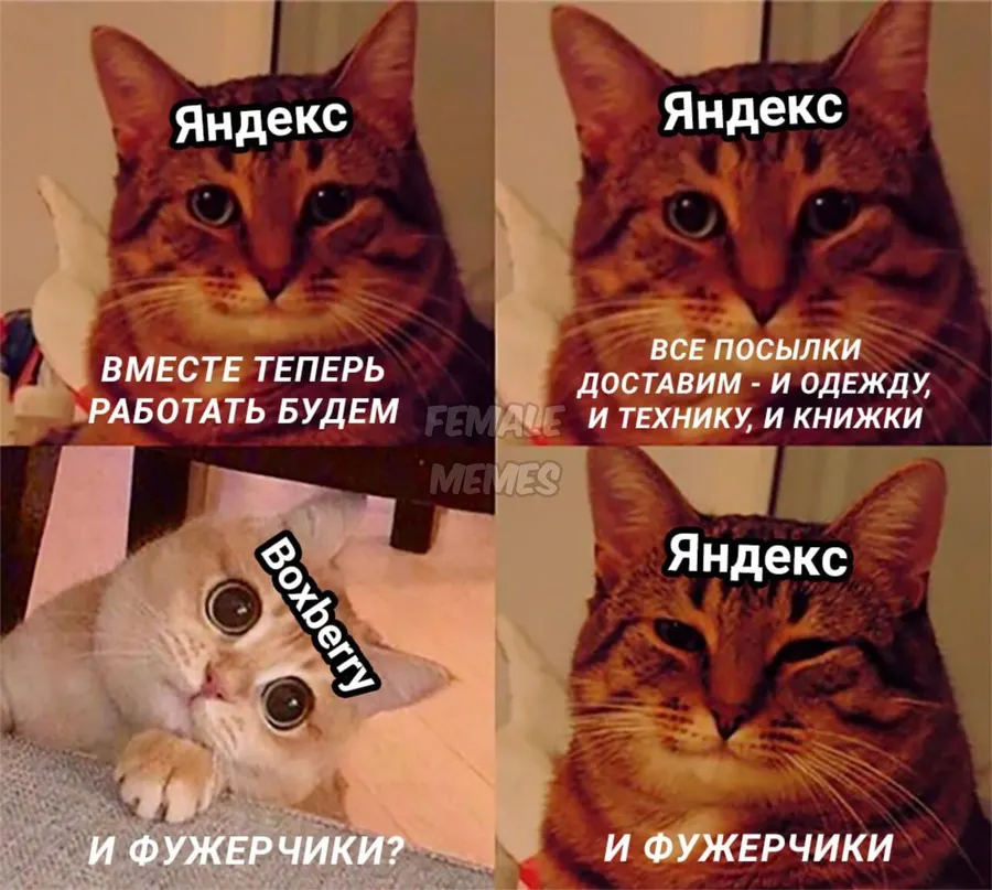 Untitled meme
