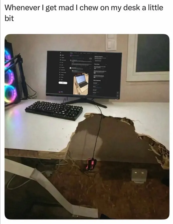 Untitled meme