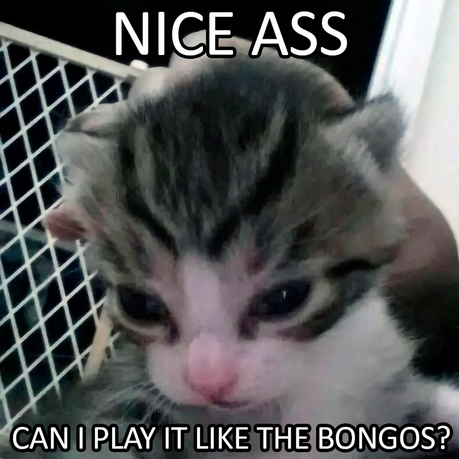 Untitled meme