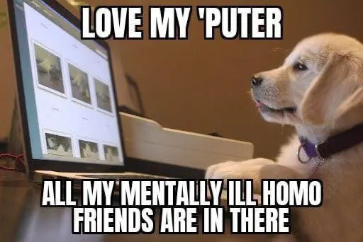 Untitled meme