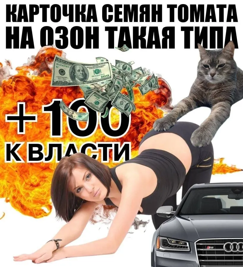 Untitled meme