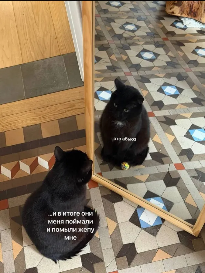Untitled meme