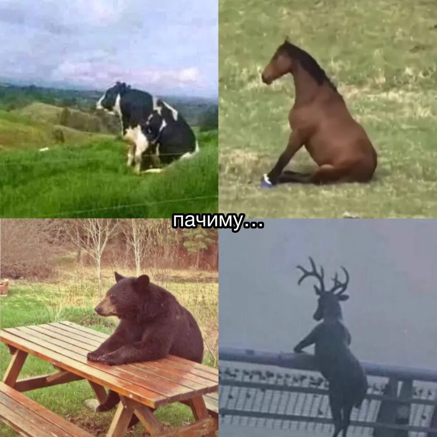 Untitled meme