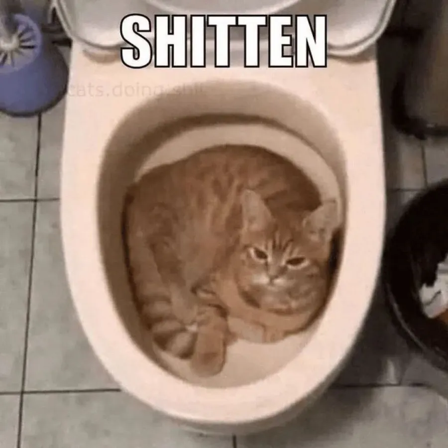 Untitled meme